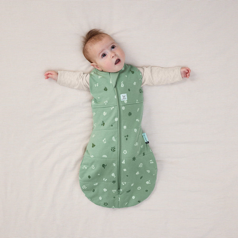 ErgoPouch | Cocoon Swaddle Sack 2.5 TOG - Plumme Box