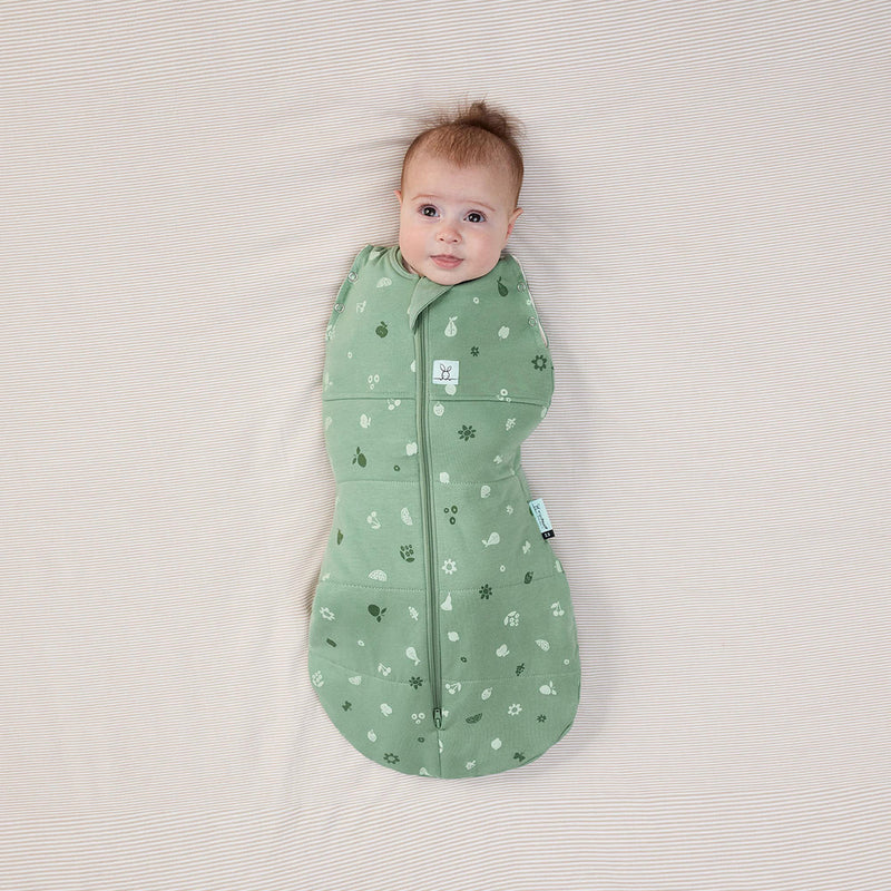 ErgoPouch | Cocoon Swaddle Sack 2.5 TOG - Plumme Box