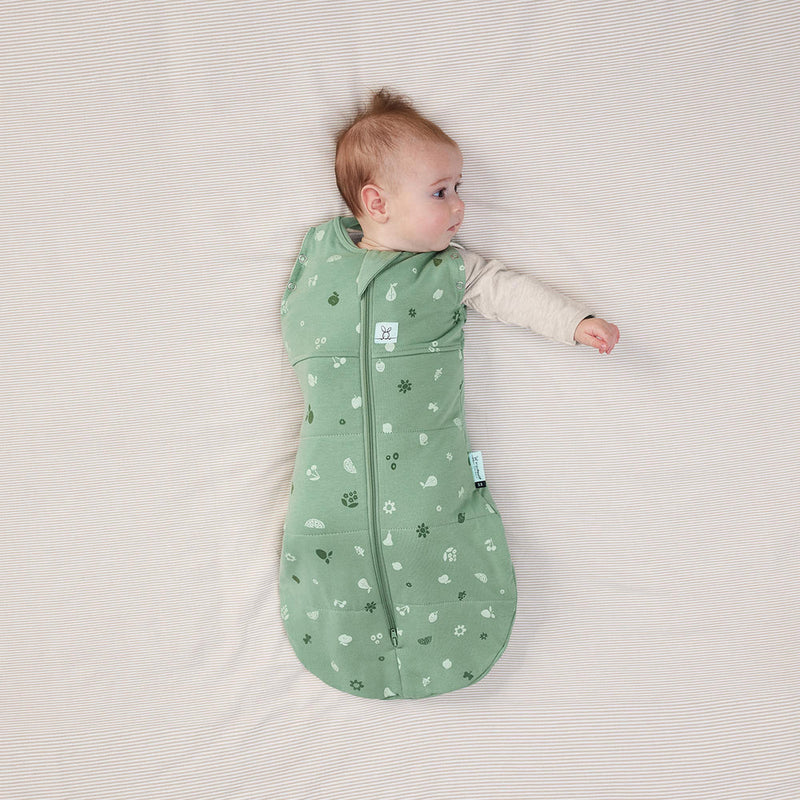 ErgoPouch | Cocoon Swaddle Sack 2.5 TOG - Plumme Box