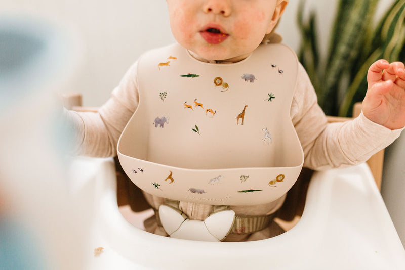 LouLou Lollipop | Printed Silicone Bib - Plumme Box