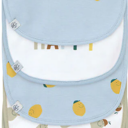 LÄSSIG | Bibs Set of 5 - Plumme Box