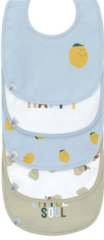 LÄSSIG | Bibs Set of 5 - Plumme Box
