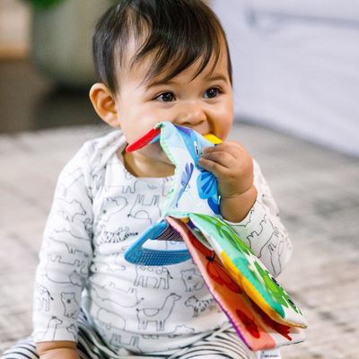 Baby Einstein | Curious Explorers Teether Book™ - Plumme Box