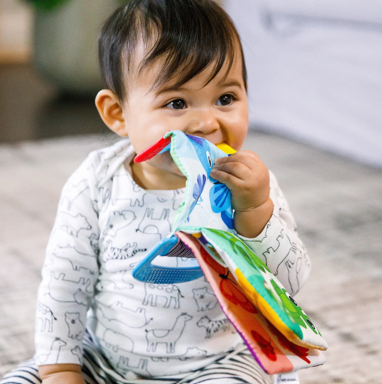 Baby Einstein | Curious Explorers Teether Book™ - Plumme Box