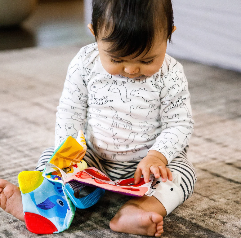 Baby Einstein | Curious Explorers Teether Book™ - Plumme Box