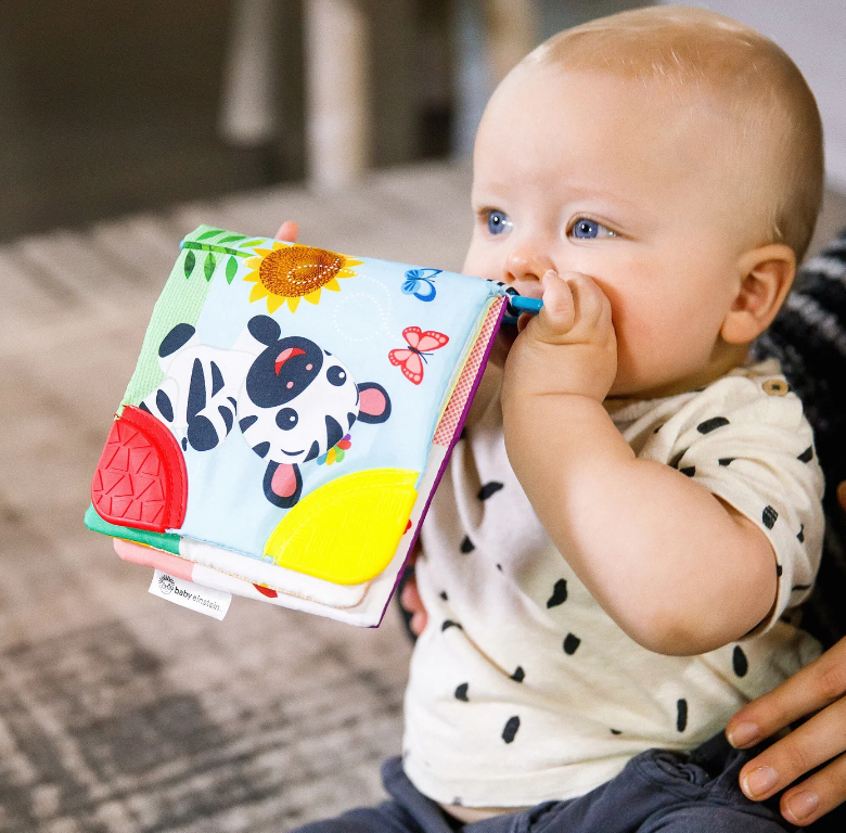 Baby Einstein | Curious Explorers Teether Book™ - Plumme Box