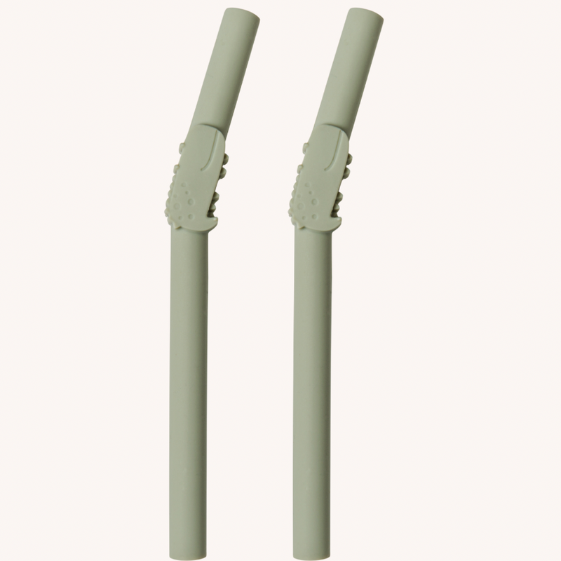 LouLou Lollipop | Kids Silicone Cup with Straw - Born To Be Wild - Plumme Box