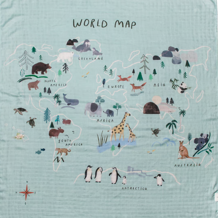 LouLou Lollipop | Muslin Swaddle - Plumme Box