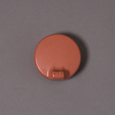 Bamboo Sippy Cup Lid