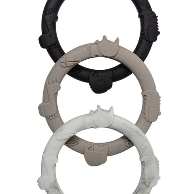 LouLou Lollipop | Wild Teething Ring Set - Plumme Box