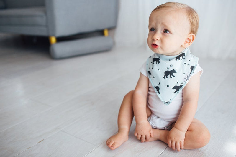 Archer Bandana Bibs