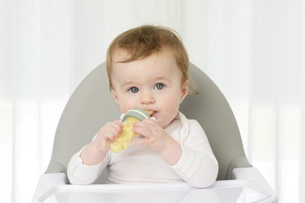 KIDSME Food Feeder Squeezer Plus