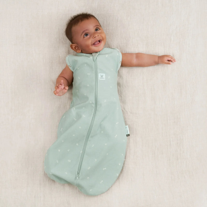 ErgoPouch | Ergococoon - 0.2 tog - 3-12M - Plumme Box